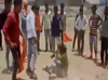 Cow vigilantes thrash man in Ujjain, 2 arrested